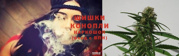 прущая мука Богданович