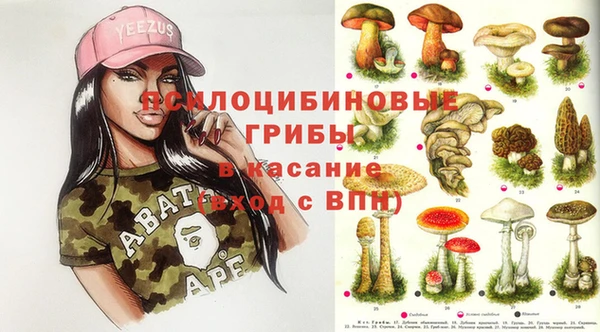 метадон Богородицк